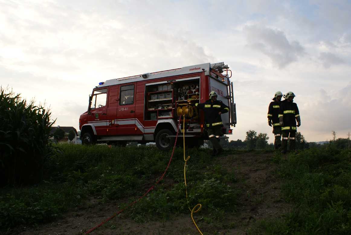 20100803 LFB.JPG